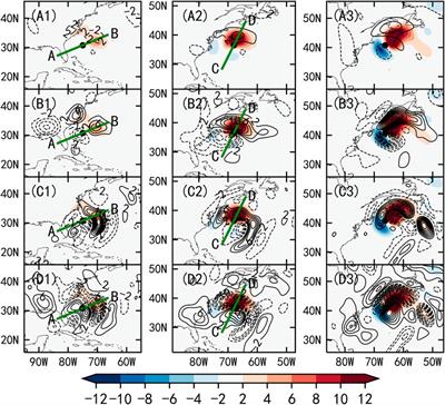 Physical Process Contributions to the Development of a Super Explosive Cyclone Over the Gulf Stream